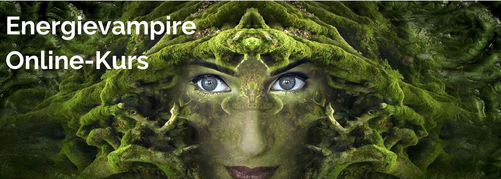 Cover Energievampire Kurs